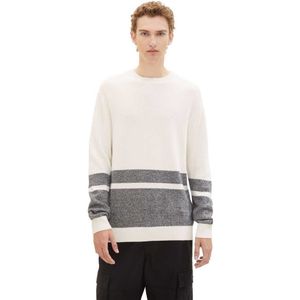 Tom Tailor 1040030 Colorblock Knit Crew Neck Sweater Wit S Man