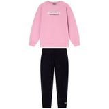 Ea7 Emporio Armani Train Logo Series Trainingspak