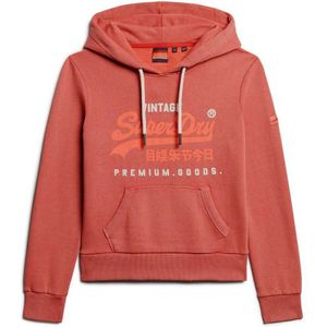 Superdry Puff Print Vl Graphic Hoodie