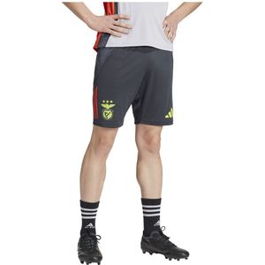 Adidas Benfica 24/25 Tiro Competition Training Korte Broek