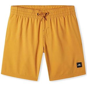 O´neill Future Surf Society 14´´ Zwembroek