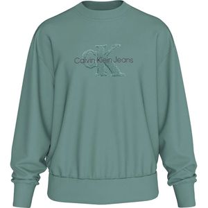 Calvin Klein Jeans Chenille Monologo Sweatshirt