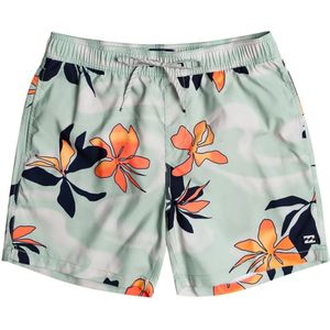 Billabong Vacay Zwembroek