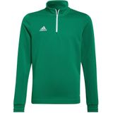 Adidas Entrada 22 Training Sweatshirt