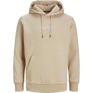 Jack & Jones Bluarchie Hoodie