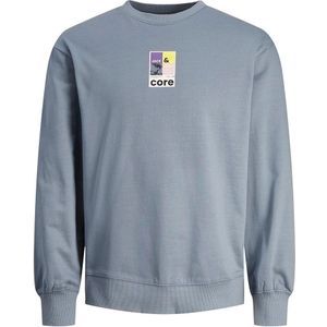 Jack & Jones Colorful Sweatshirt Grijs M Man