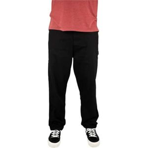 Santa Cruz Classic Painters Broek