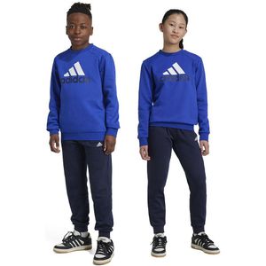 Adidas Essentials Big Logo Fleece Jogger Set