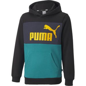 Puma Essentials+ Colorblock Fl Sweatshirt Groen,Zwart 7-8 Years