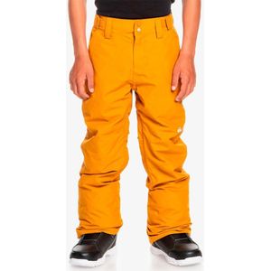 Quiksilver Estate Pants Groen 14 Years Jongen