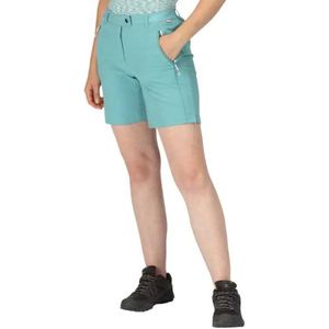 Regatta Mountain Shortsii Korte Broek