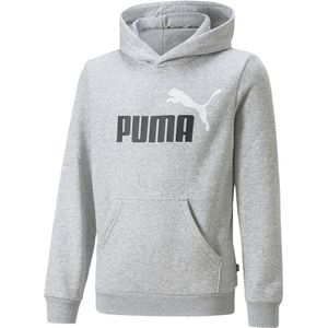 Puma Ess+ 2 Col Big Logo Fl B Hoodie