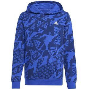 Adidas Camlog Ft Hoodie