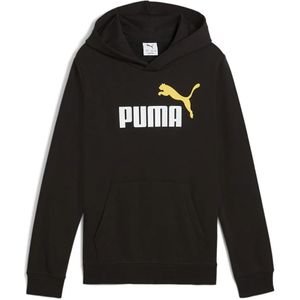 Puma Ess 2 Color Nº1 Logo Hoodie