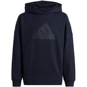 Adidas Fi Logo Hoodie Blauw 11-12 Years Meisje