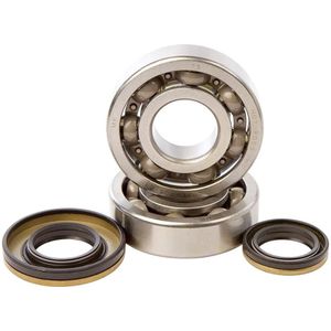 Hotrods Suzuki 2003-2004 Rm250 Krukaslager-en Afdichtingsset