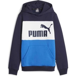 Puma Essentials 849081 Hoodie