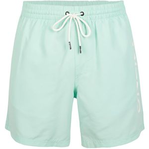 O´neill N03202 Cali 16´´ Swimming Shorts Groen L Man