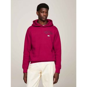 Tommy Hilfiger Arched Varsity Hoodie