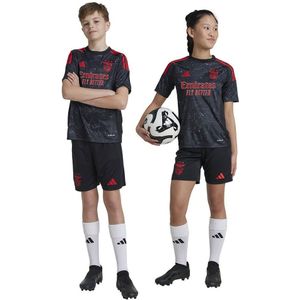 Adidas Benfica 24/25 Junior Uitwedstrijd T-shirt Met Korte Mouwen