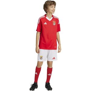 Benfica Lisbonne - 2024/25 - Korte Broek - Voor Kinderen
