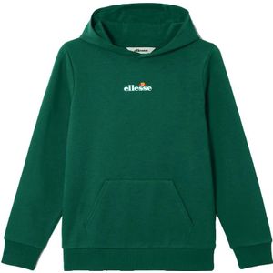 Ellesse - Otternere 2 - Hoodie