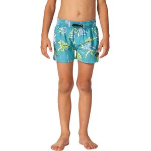 Rip Curl Mason Volley Zwembroek