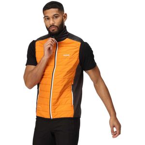 Regatta Halton Vii Vest