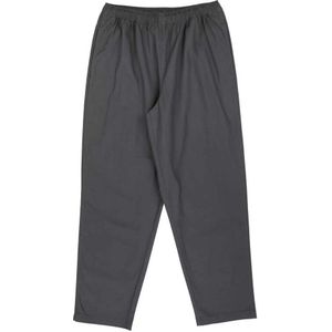 Santa Cruz Tab Broek