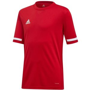 Adidas Team 19 T-shirt Met Korte Mouwen