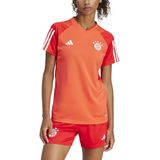 Adidas - FC Bayern Munich 23/24 - Training T-shirt - Dames - Korte Mouwen