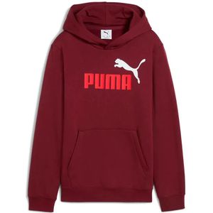 Puma Ess 2 Color Nº 1 Logo Hoodie