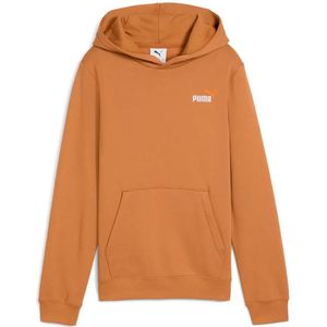 Puma Ess 2 Color Small Nº 1 Logo Hoodie