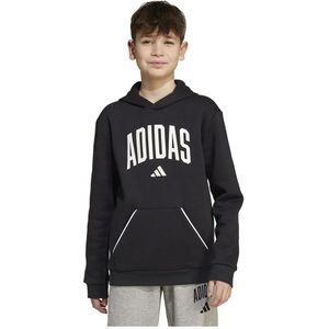 Adidas Seasonals Essentials Collegiate Typography Hoodie