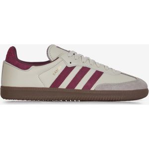 Schoenen adidas  Samba Og Beige/rood Heren