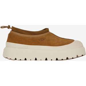 Schoenen Ugg Tasman Weather Hybrid  Bruin/beige  Heren