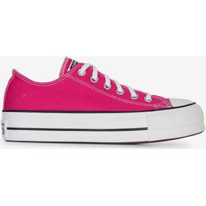 Schoenen Converse Chuck Taylor All Star Lift Ox  Fuchsia  Dames