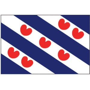 Friese vlag 100x150 40x60
