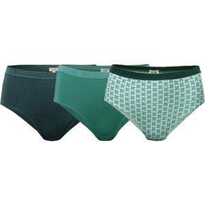 Living Crafts 3er-Pack Bio-Damen-Slips ""POLLY"", mini oyster print, Gr. L