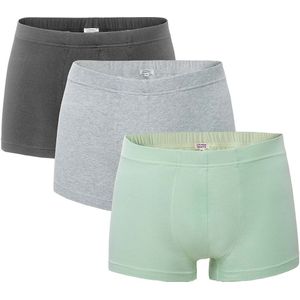 Living Crafts 3er-Pack Bio-Herren-Boxershorts ""SAGON"", seagrass, Gr. L