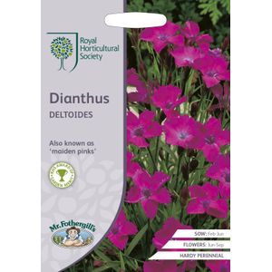 Steenanjer dianthus deltoides  -  200 Zaden