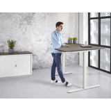 Elektrisch zit-sta wingbureau