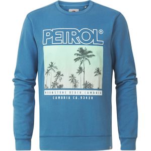 Petrol Industries - Artwork Sweater - Grijs - S - Truien