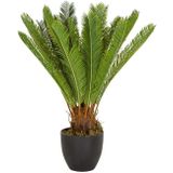 CYCAS - Kunstplant Groen