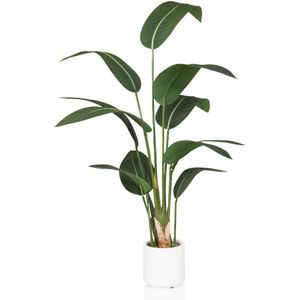 STRELITZIA - Kunstplant Groen