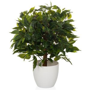 FICUS II - Kunstplant Groen