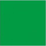 Kamera Express BG-4X6-CK 4,0x6,0m chromakey groen