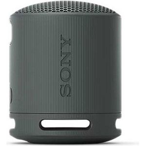 Sony XB100 Zwart speaker