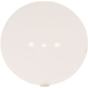 Cognisys Rotary Table Top White