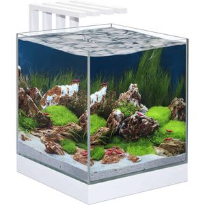 Ciano Nexus Pure 25 Aquarium - 29x29x29cm - 22ltr - Wit